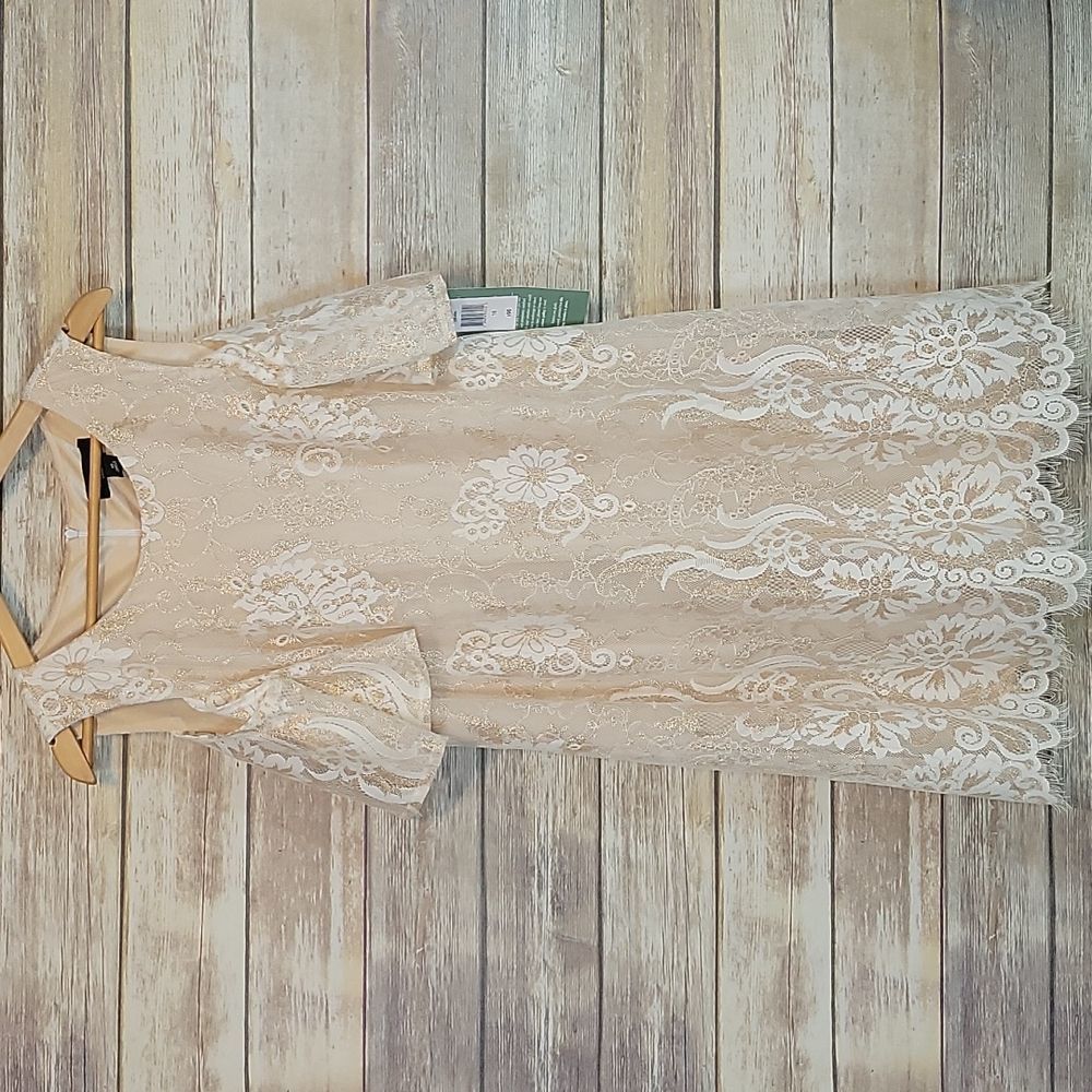 NEW RN Studio | Gold & Ivory Lace Cocktail Dress 16